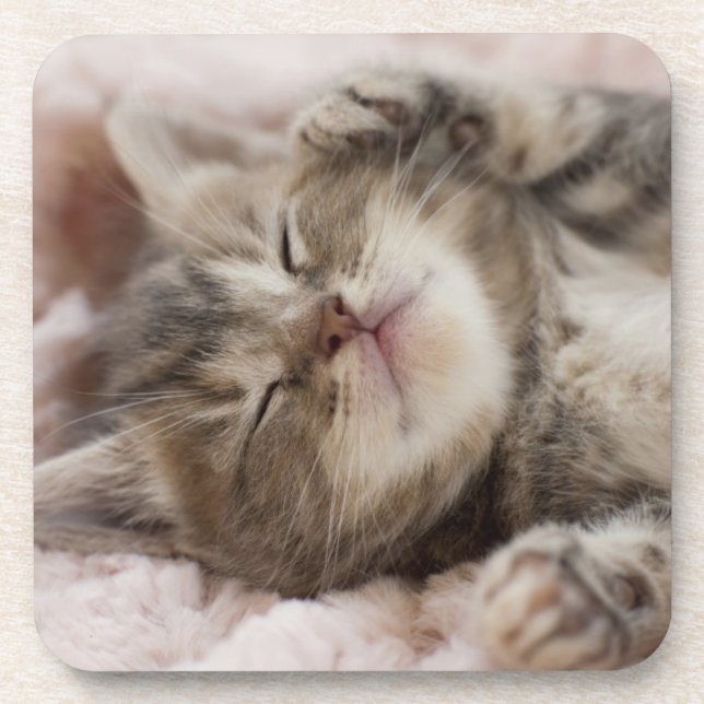 Dessous-de-verre Chaton somnolent (Devant)