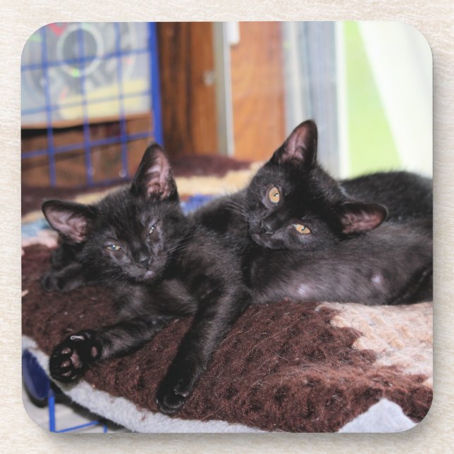 Dessous-de-verre Chatons (Devant)