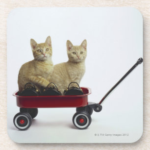 Dessous-de-verre Chatons dans le chariot