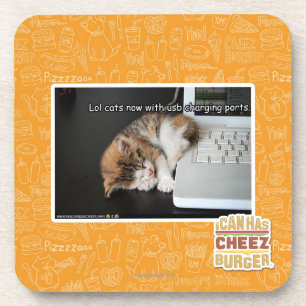 Dessous-de-verre Chats de Lol avec USB