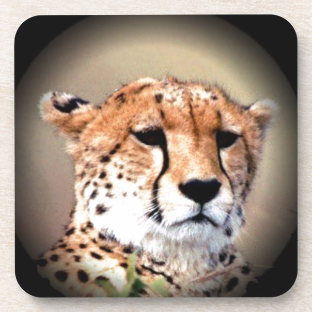 Dessous-de-verre Cheetah Tear Marks Hakunamatata (Devant)
