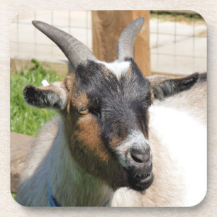 DESSOUS-DE-VERRE CHÈQUE