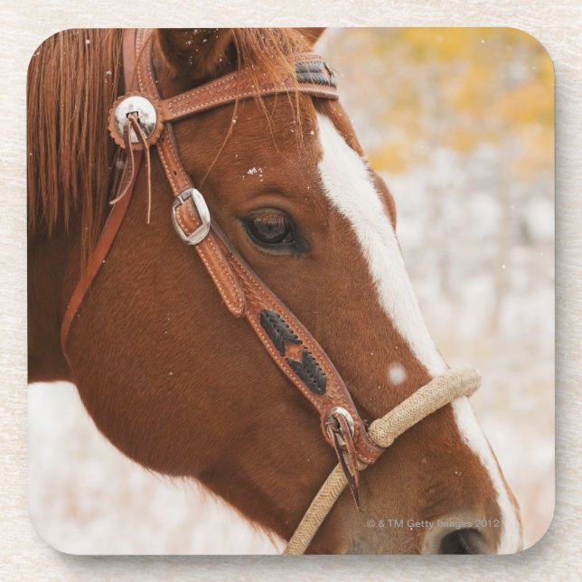 Dessous-de-verre Cheval (Devant)