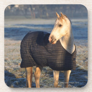 Dessous-de-verre cheval