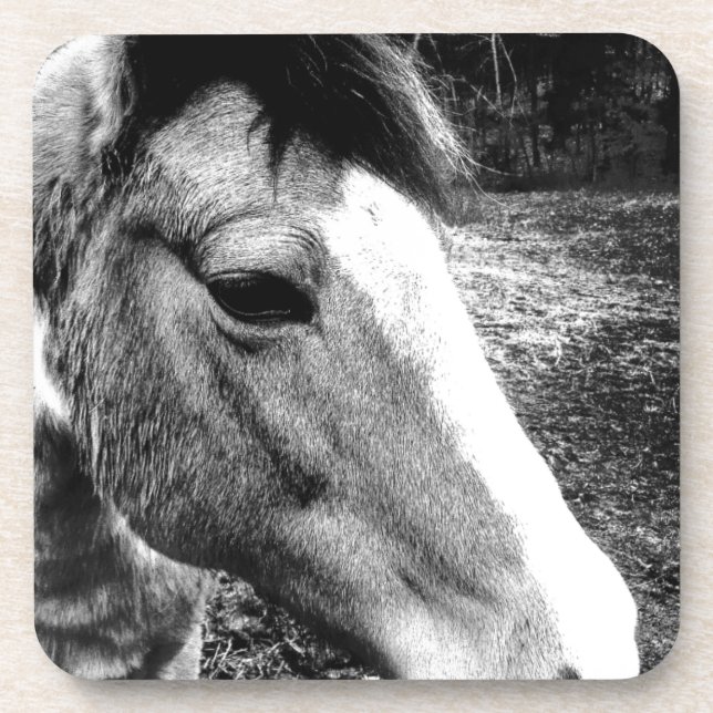 Dessous-de-verre Cheval (Devant)
