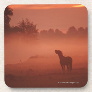 Dessous-de-verre Cheval au lever de soleil