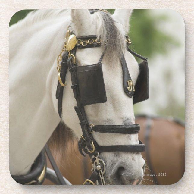Dessous-de-verre Cheval avec des oeillères (Devant)