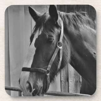 Dessous-de-verre Cheval blanc noir - Art de la photographie animale