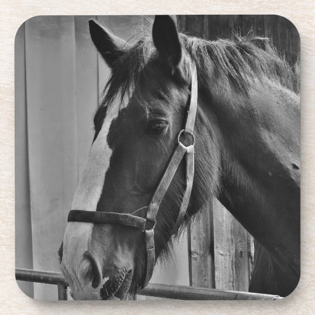 Dessous-de-verre Cheval blanc noir - Art de la photographie animale (Devant)