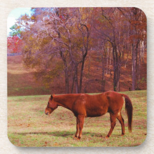 Dessous-de-verre Cheval Brown dans un champ d'herbe