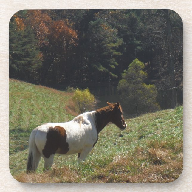 Dessous-de-verre Cheval Brown et blanc à l'étang d'automne (Devant)