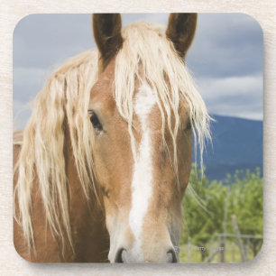 Dessous-de-verre Cheval brun clair