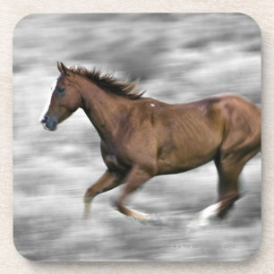 Dessous-de-verre Cheval courant