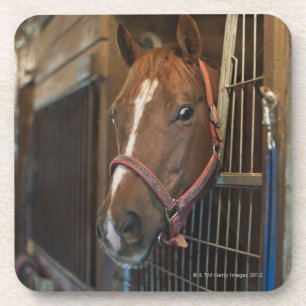 Dessous-de-verre Cheval dans la stalle
