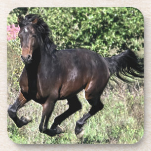 Dessous-de-verre Cheval de châtaignier à galop