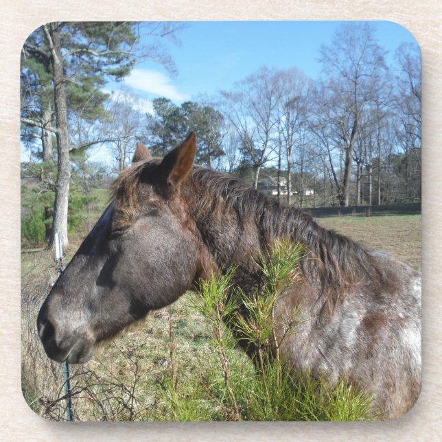 Dessous-de-verre Cheval de couleur Coco et Crème (Devant)