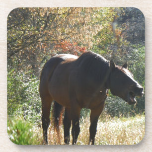 Dessous-de-verre Cheval en automne