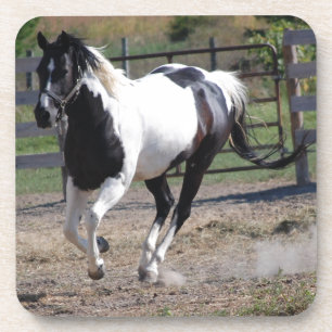 Dessous-de-verre Cheval Pinto Paint