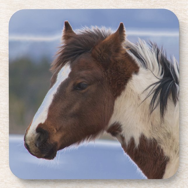 Dessous-de-verre Cheval Tri Coloré (Devant)
