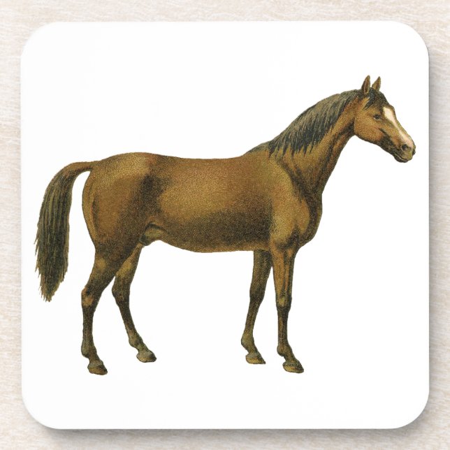Dessous-de-verre Cheval vintage (Devant)