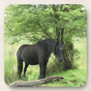 DESSOUS-DE-VERRE CHEVAUX