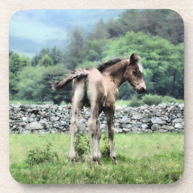 DESSOUS-DE-VERRE CHEVAUX (Devant)