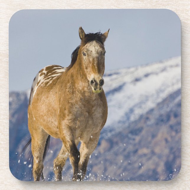 Dessous-de-verre Chevaux courant dans la neige (Devant)
