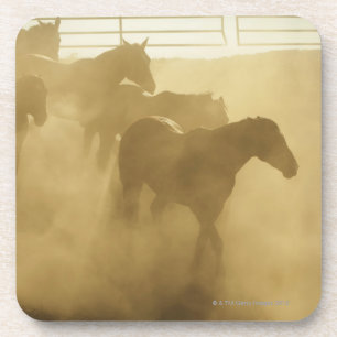 Dessous-de-verre Chevaux dans le corral