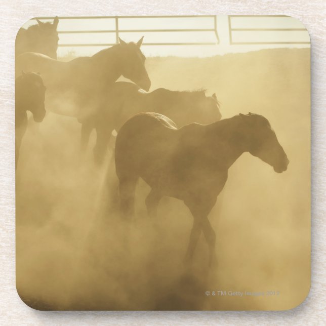 Dessous-de-verre Chevaux dans le corral (Devant)