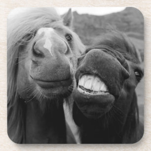 Dessous-de-verre Chevaux de sourire des images   de Getty