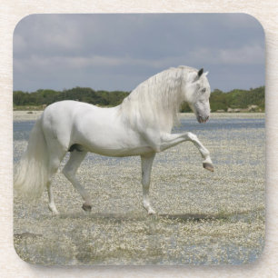 Dessous-de-verre Chevaux d'imaginaire : Seigneur du lac