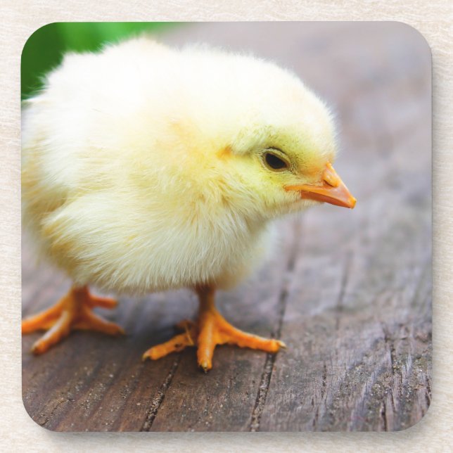 Dessous-de-verre Chick de Pâques (Devant)