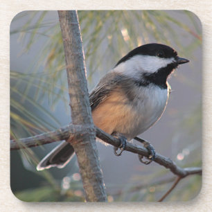 Dessous-de-verre Chickadee
