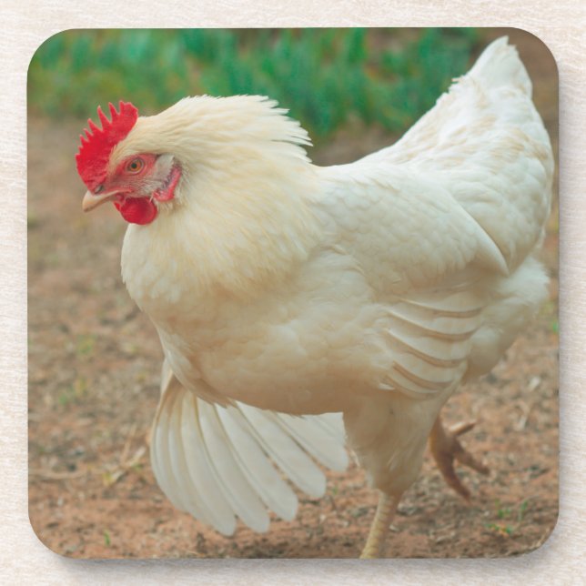 Dessous-de-verre Chicken Funky Hen Hy Line Silver Brown (Devant)