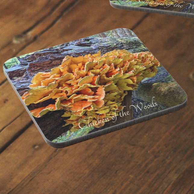 Dessous-de-verre Chicken of the Woods Mushroom Photo (In Situ)