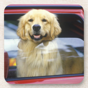 Dessous-de-verre Chien dans la fenêtre de voiture rouge