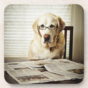 Dessous-de-verre Chien dans la routine de matin