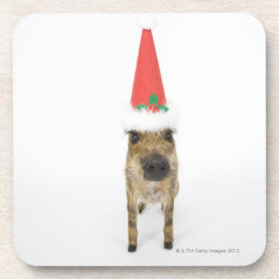 Dessous-de-verre Chien dans le casquette de Noël