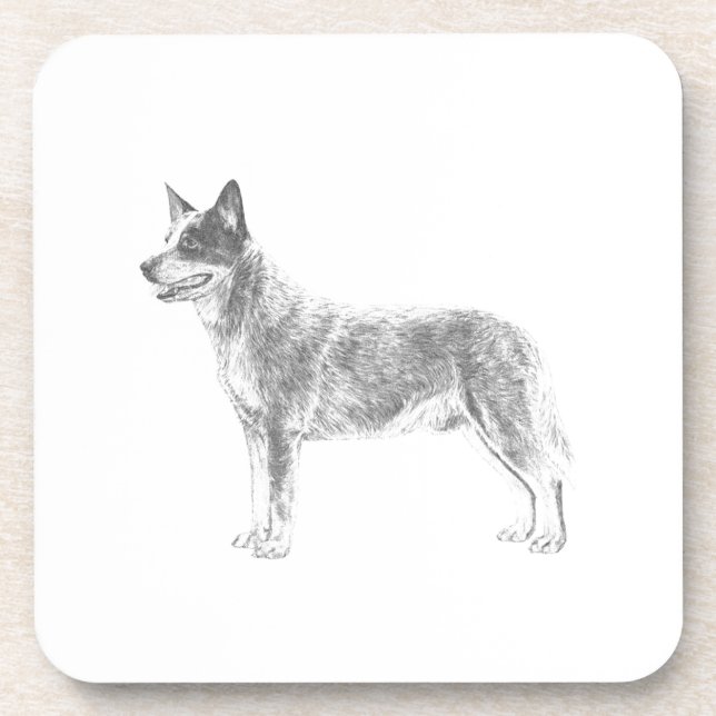 Dessous-de-verre Chien de bétail australien (Devant)
