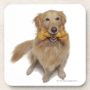 Dessous-de-verre Chien de golden retriever tenant l'os dans la