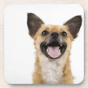 Dessous-de-verre Chien de halètement
