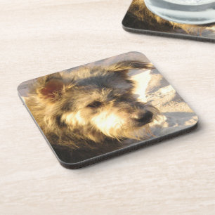 Dessous-de-verre Chien de plage thaïlandais