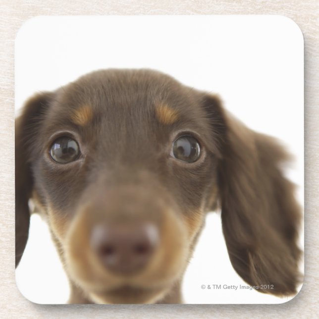 Dessous-de-verre Chien de saucisse (brun) 2 (Devant)
