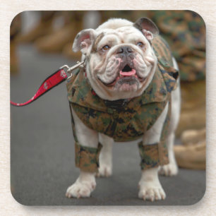 DESSOUS-DE-VERRE CHIEN DE SERVICE MILITAIRE AMÉRICAIN