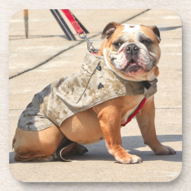 DESSOUS-DE-VERRE CHIEN DE SERVICE MILITAIRE AMÉRICAIN (Devant)
