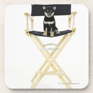 Dessous-de-verre Chien de Shiba Inu sur la chaise du directeur
