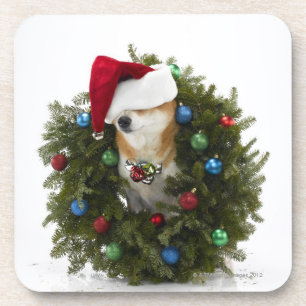 Dessous-de-verre Chien de Shiba Inu utilisant le casquette de Père