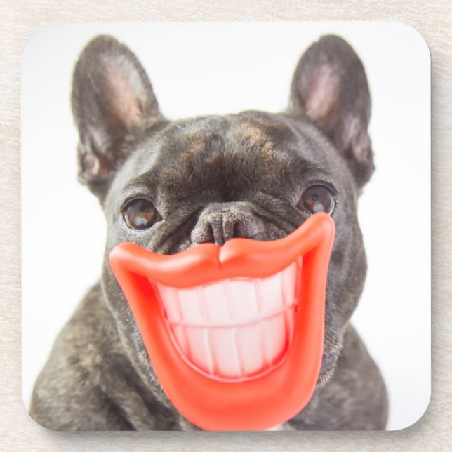 Dessous-de-verre Chien de sourire des images | A de Getty (Devant)