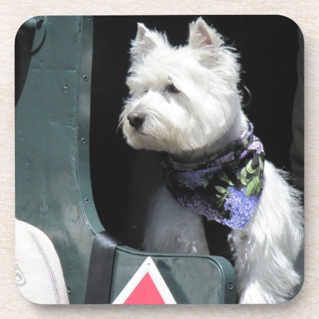 Dessous-de-verre Chien de Terrier de chemin de fer (Devant)