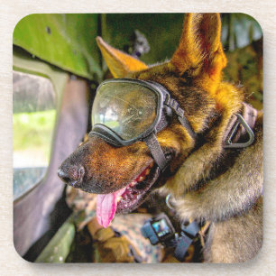 DESSOUS-DE-VERRE CHIEN DE TRAVAIL DE L'ARMÉE AMÉRICAINE